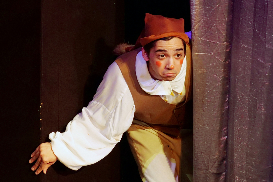 Цветик-семицветик (Театр Эрмитаж). Изображение 9