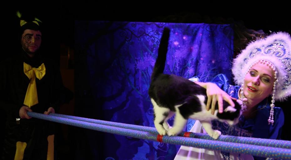 КОШКИ В ГОСТЯХ У БАБКИ ЕЖКИ. Изображение 5