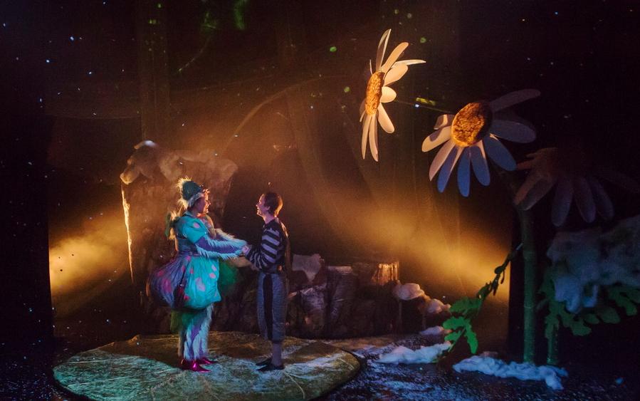 Комар мечтает о зиме. Изображение 5