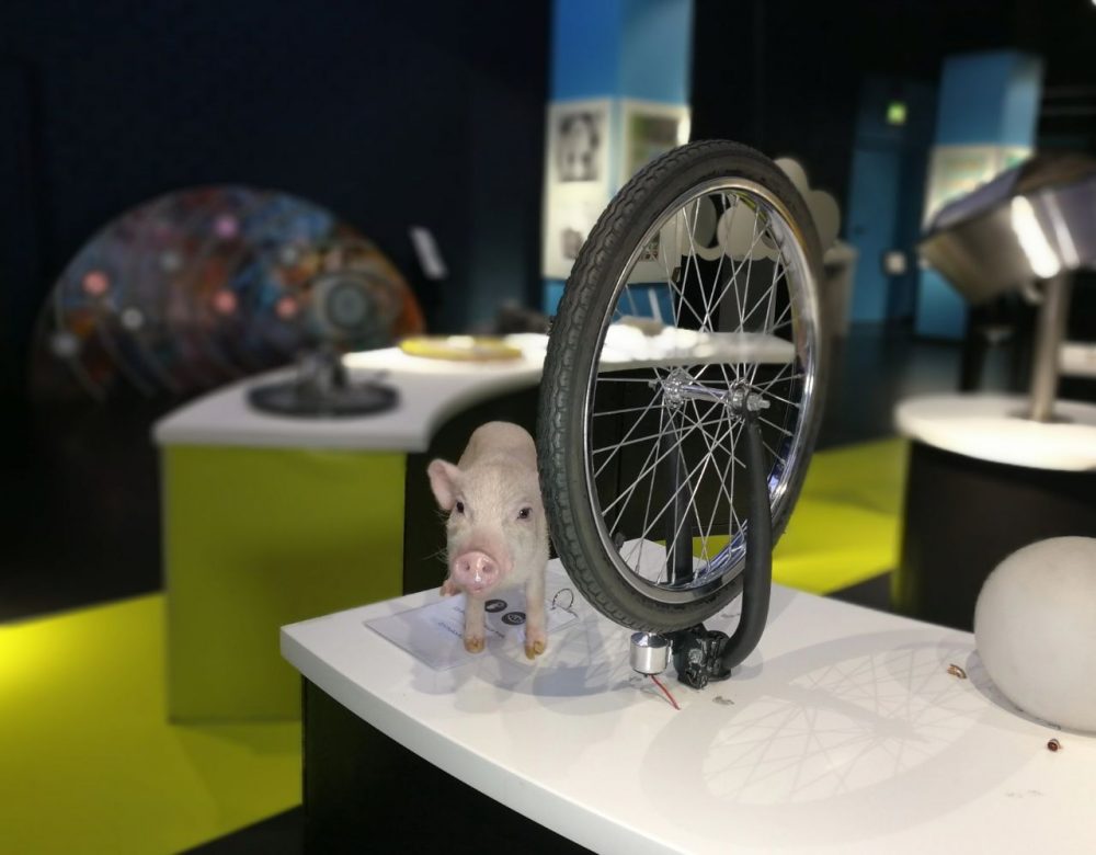 Детский центр научных открытий ИнноПарк. Изображение 3