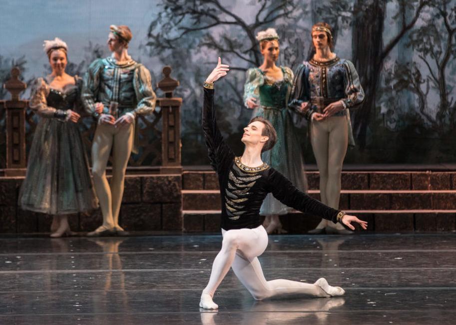 Лебединое озеро (МАМТ). Изображение 3