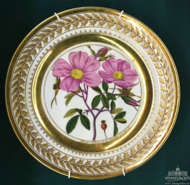 Мастер-классы в Архангельском. Изображение 5