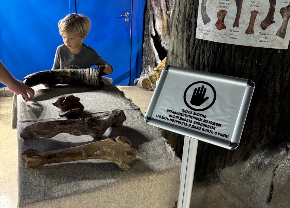 Выставка "Мамонт и его окружение". Изображение 6