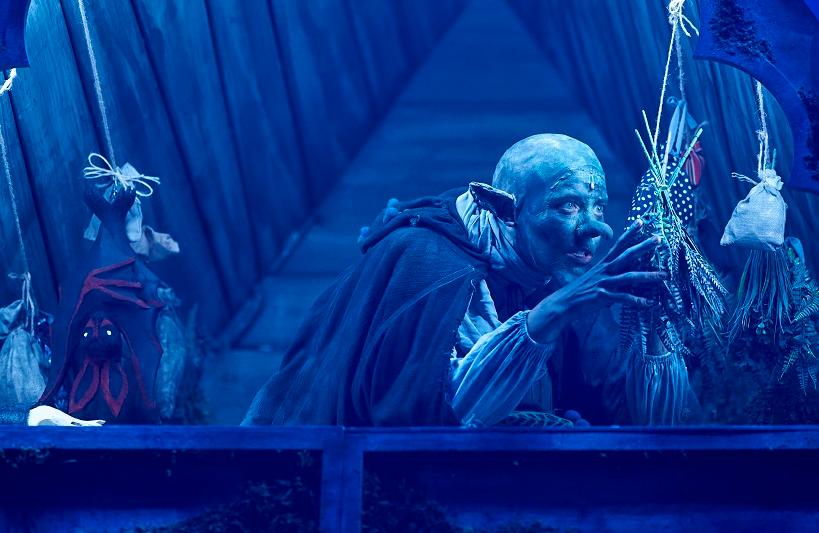 Рыжая волшебница. Изображение 13