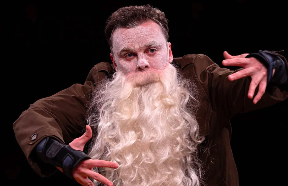 ДВЕНАДЦАТАЯ НОЧЬ, ИЛИ КАК УГОДНО. Изображение 2