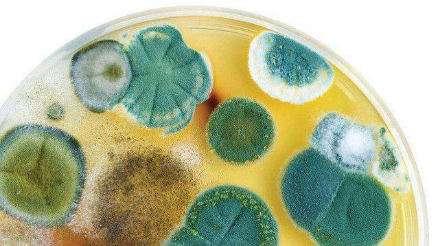 Пытливые 0+. Изображение 4