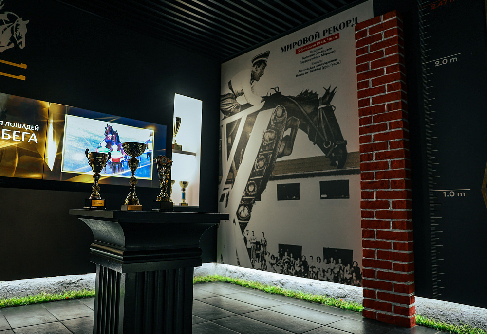 Музей лошади и Конный театр. Изображение 3