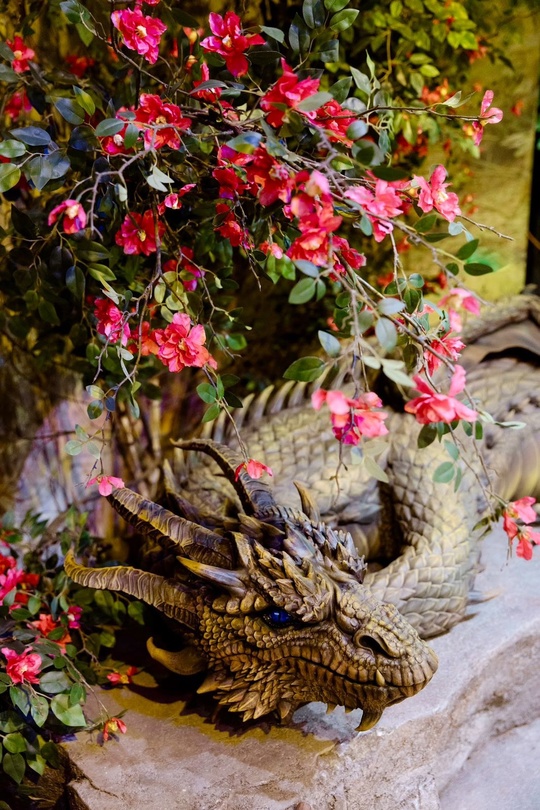 Музей криптозоологии «Бестиарий». Изображение 4