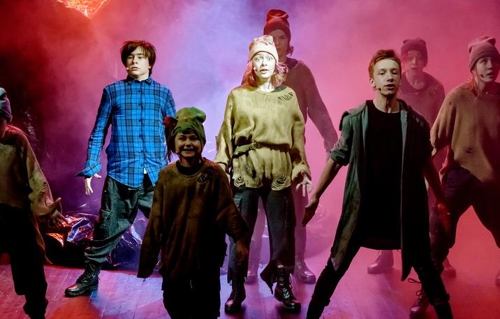 Собаки (ДМТЮА). Изображение 1