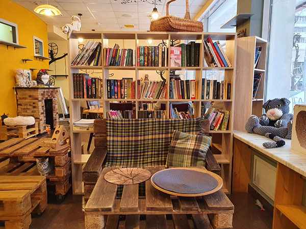 Котокафе "Мурчашка". Изображение 4