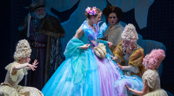 Подснежники для королевы. Изображение 6