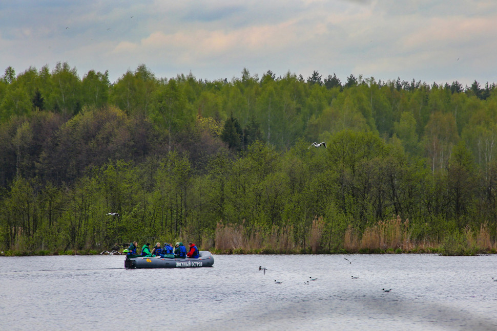Экскурсия на рафте по плёсу Верхнеяузского водно-болотного комплекса. Изображение 4