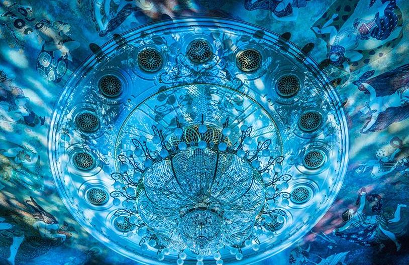 Путеводитель по оркестру. Карнавал животных. Изображение 3