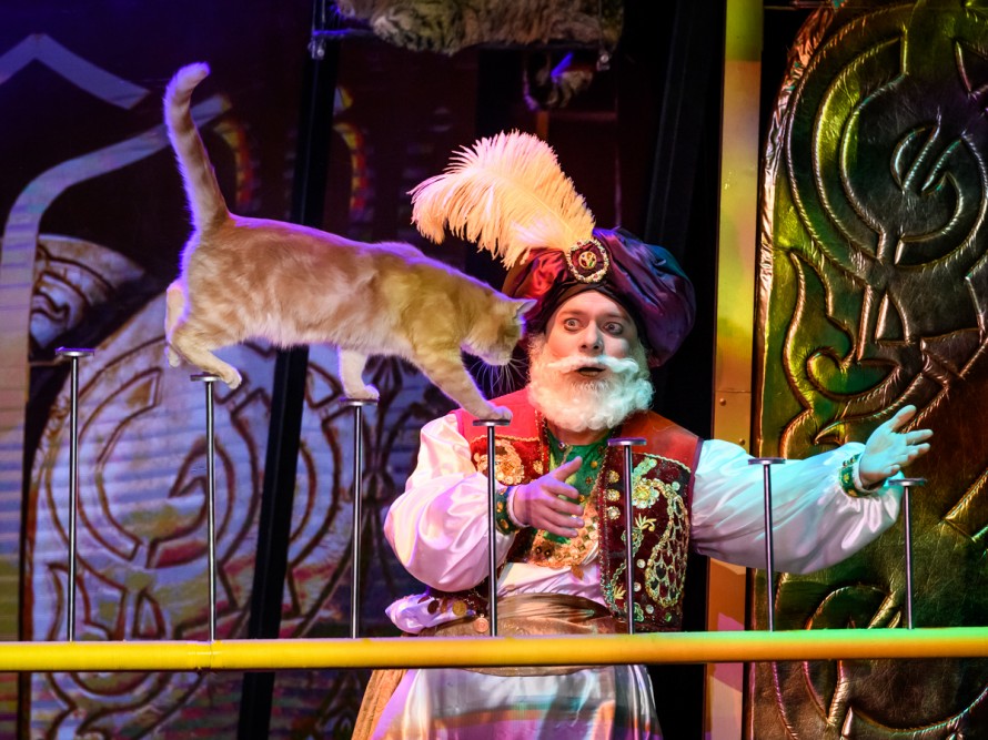 КОШКИ В ВОСТОЧНОЙ СКАЗКЕ. Изображение 7