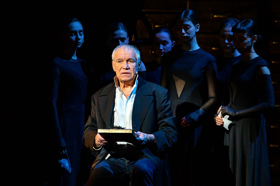 Кроткая (Малый театр). Изображение 5