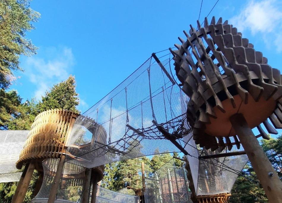 Norway Park-Шишки (ИСТРА). Изображение 3