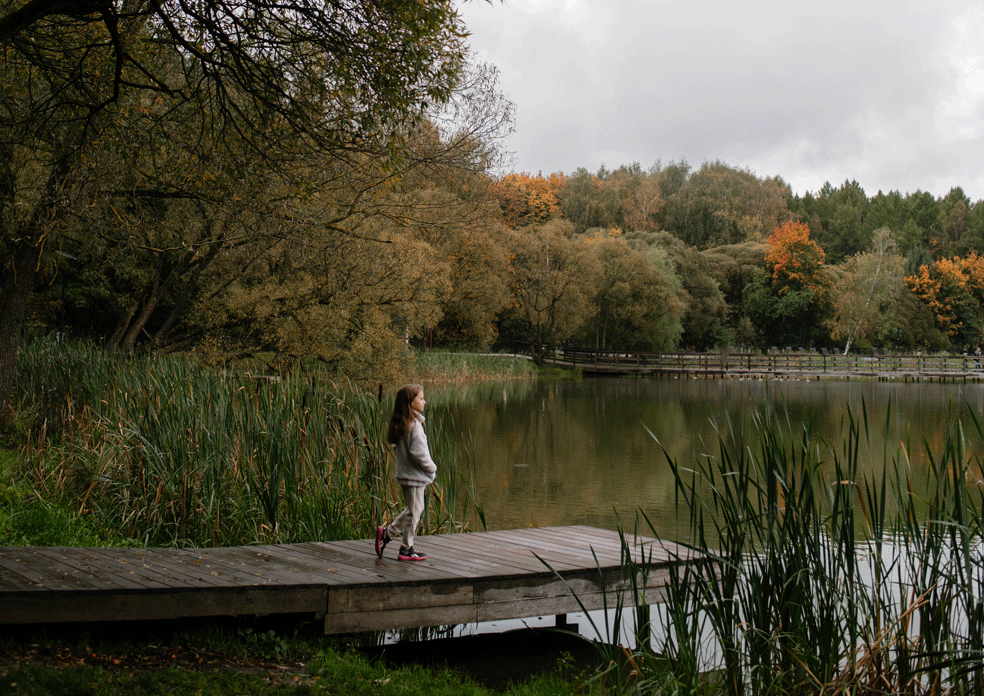 Мещерский парк. Изображение 7