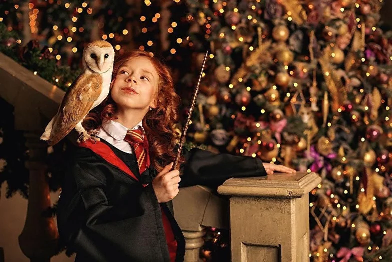 Музей Гарри Поттера. Изображение 1