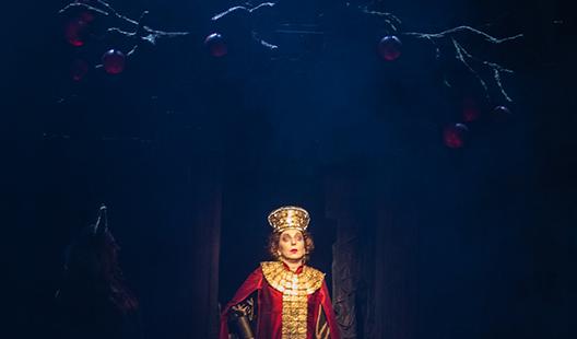  Правда - хорошо, а счастье лучше (Ведогонь-театр). Изображение 7