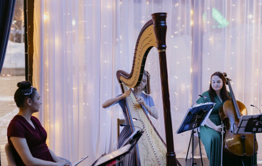 Северная сказка. Арфа. Изображение 1