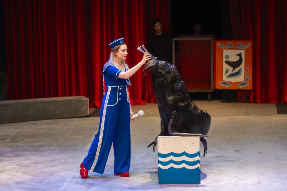 Каникулы Джинна. Изображение 4