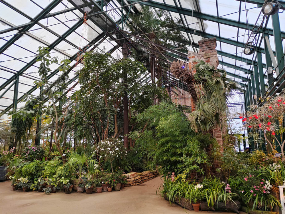 Экскурсии в Аптекарском огороде. Изображение 6