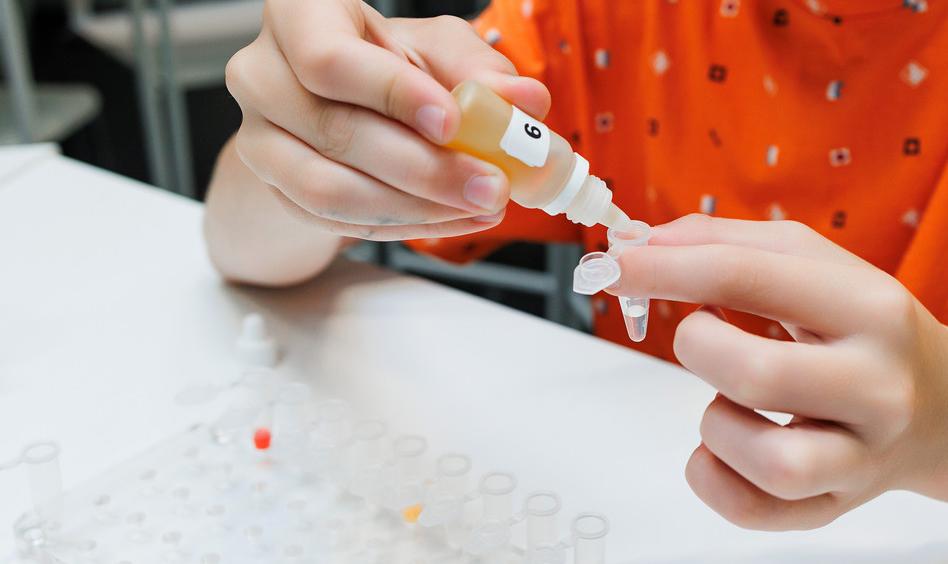 Все цвета химии. Изображение 2