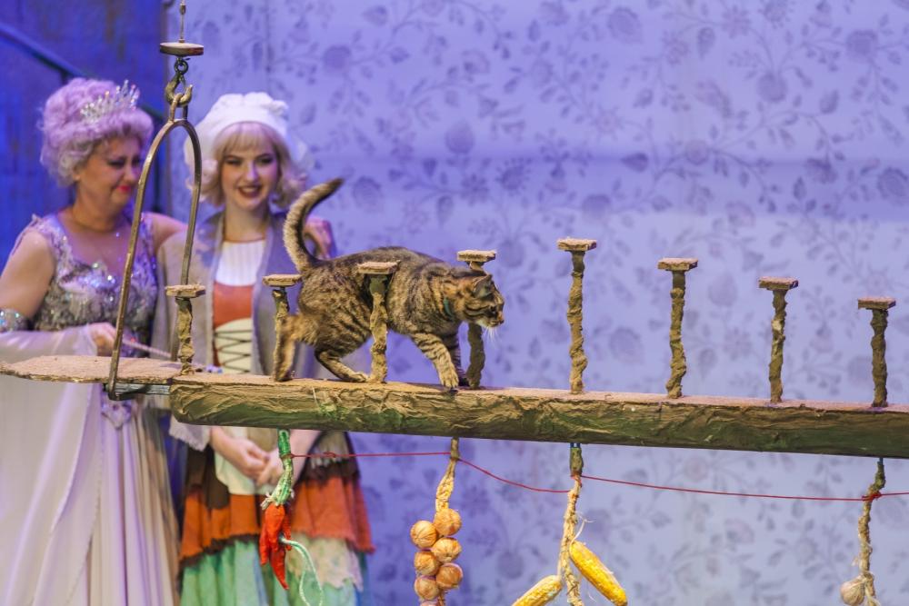 История хрустальной туфельки. Изображение 6