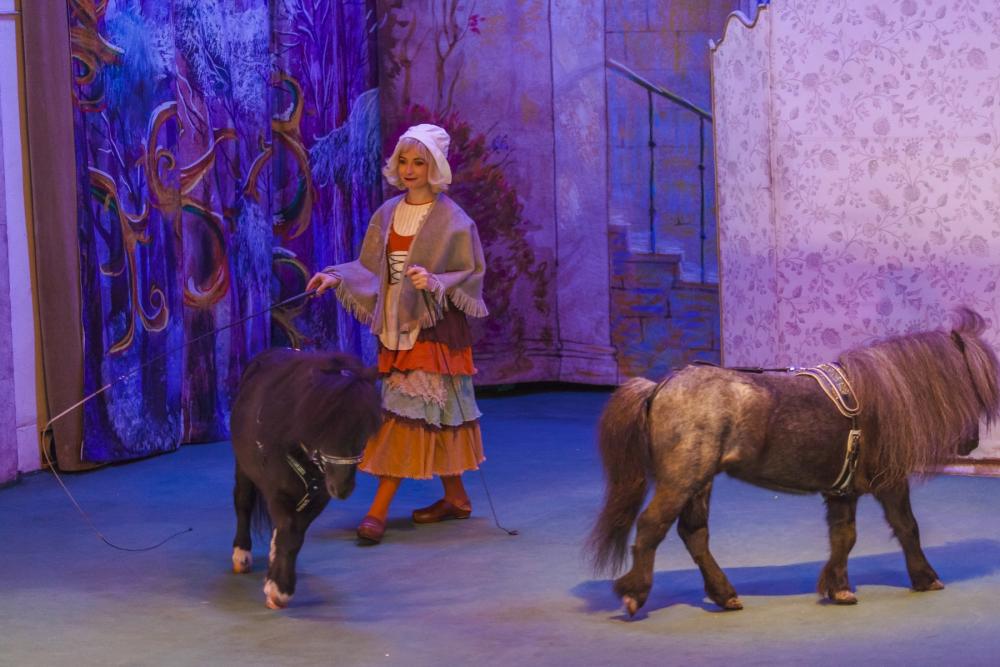 История хрустальной туфельки. Изображение 5