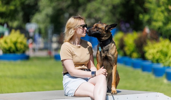 Фестиваль "Лапки". Изображение 2