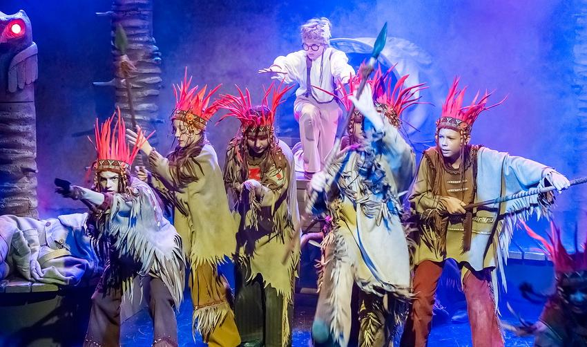 Вождь краснокожих ((ДМТЮА). Изображение 11