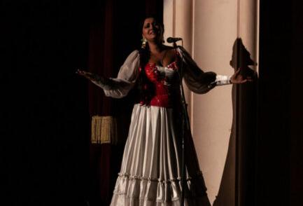 Мы – цыгане. Изображение 19