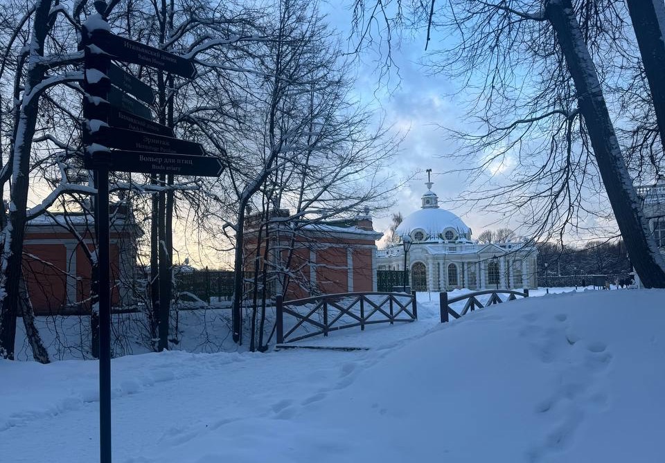 Новогодние программы в Кусково. Изображение 1