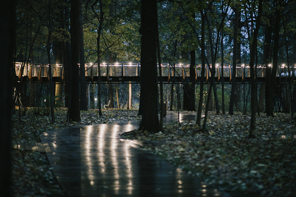 Воздушная экотропа на ВДНХ. Изображение 4