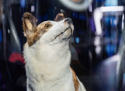 Музей космонавтики. Изображение 8