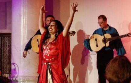 Цыганская ночь. Изображение 6