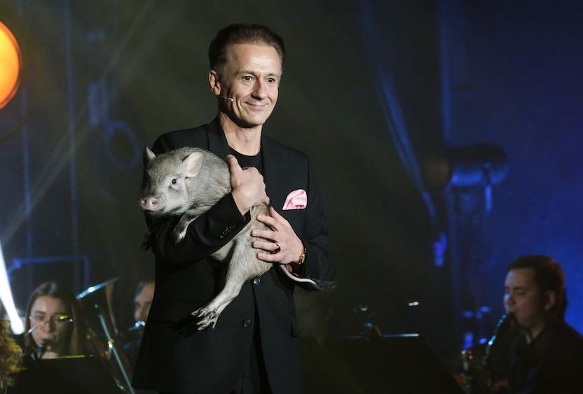 Новогодний оркестр мечты. Изображение 3