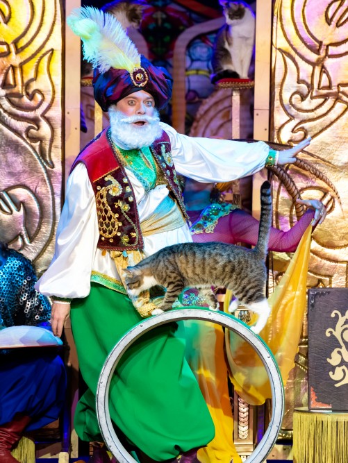 КОШКИ В ВОСТОЧНОЙ СКАЗКЕ. Изображение 5