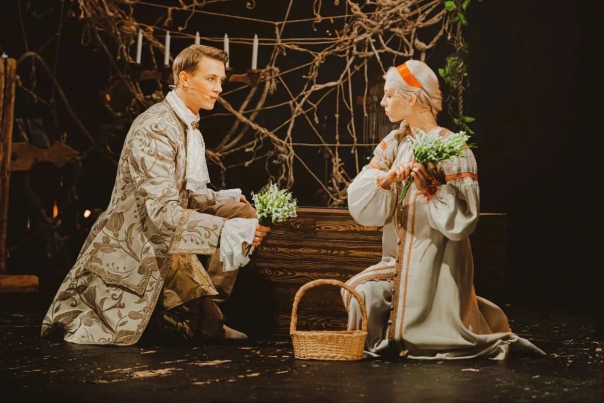 Бедная Лиза. Изображение 10