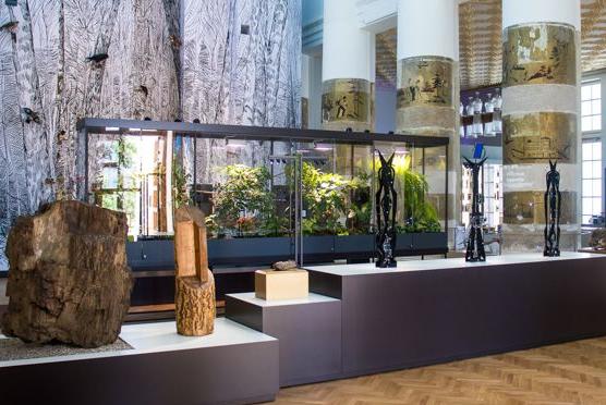 Павильон № 31 Геология. Биологический музей им. К. А. Тимирязева. Изображение 1