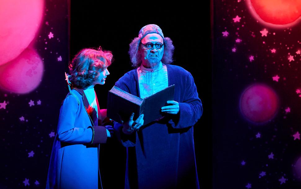 Маленький принц (Московский театр Музыки и Драмы Стаса Намина). Изображение 6