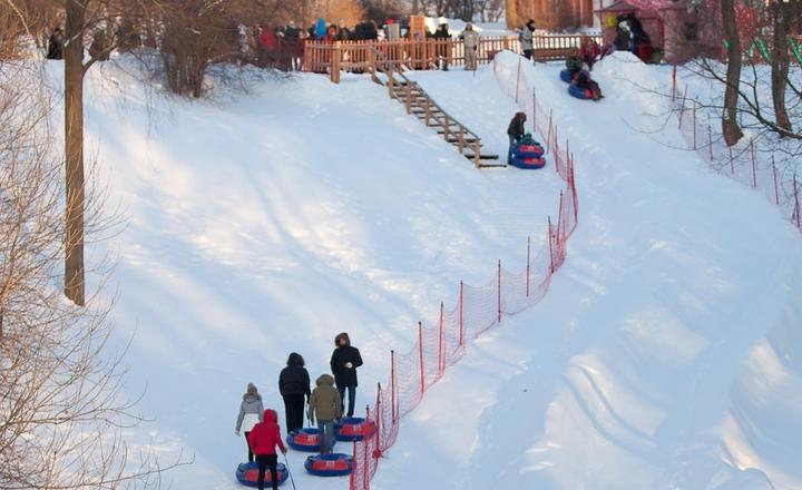 Горки с тюбингом Царицыно. Изображение 4