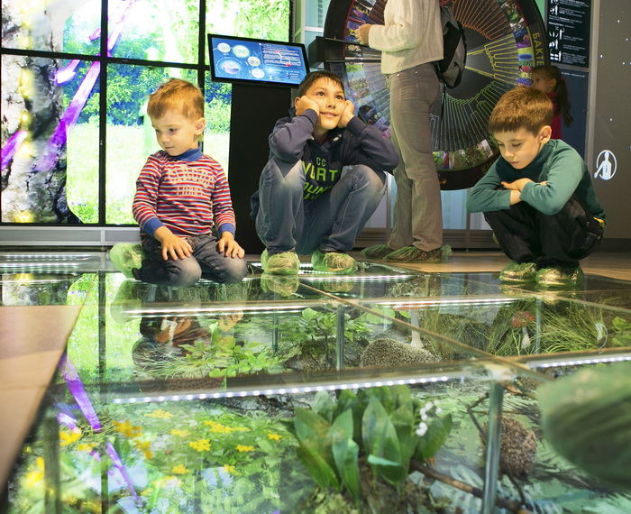 Познай себя – познай мир. Изображение 3