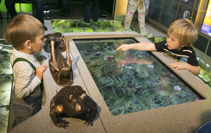 Познай себя – познай мир. Изображение 4