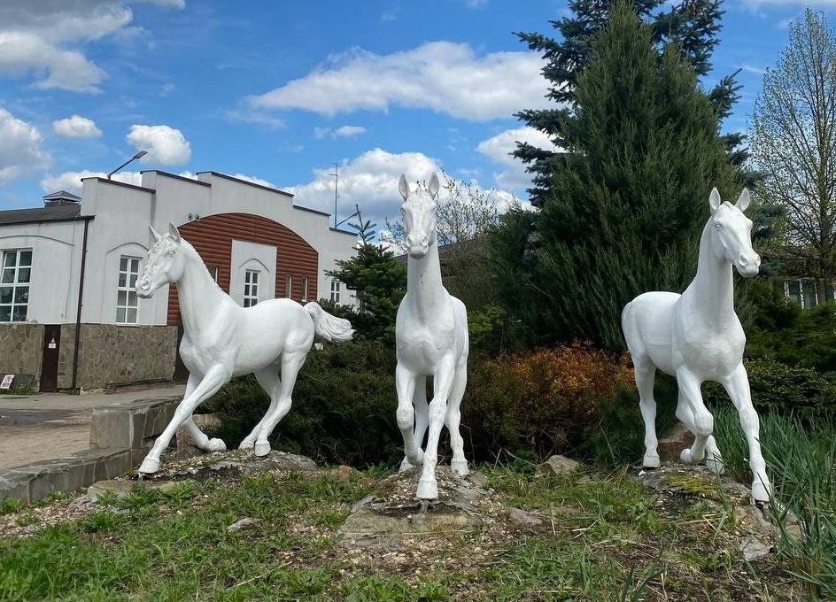 Национальный конный парк Русь. Изображение 4