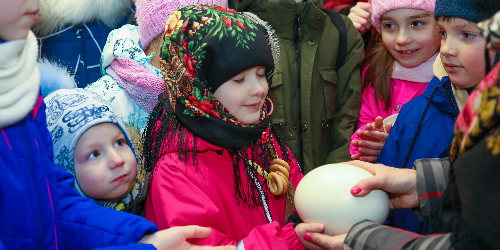 ШИРОКАЯ МАСЛЕНИЦА НА ФЕРМЕ СТРАУСОВ. Изображение 8