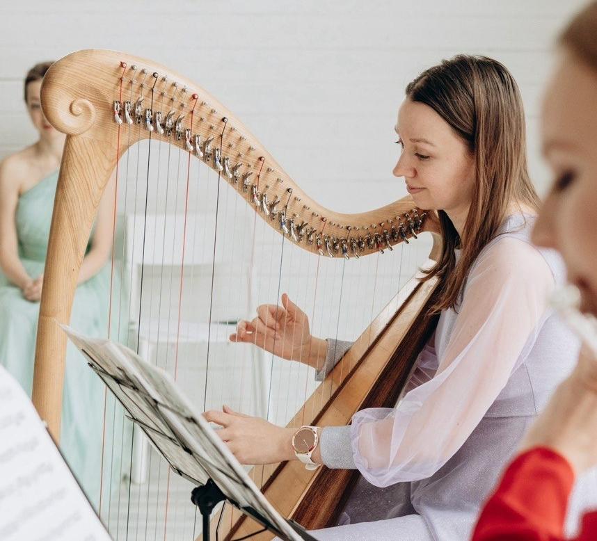 Чарующая арфа. Изображение 1