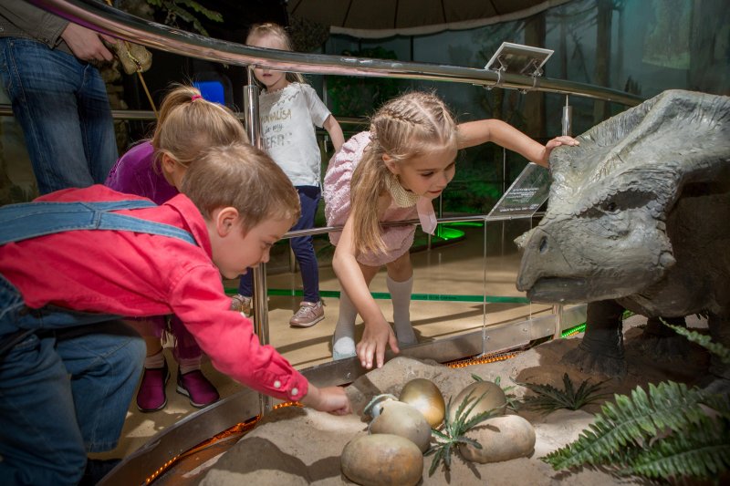Дошкольная академия в Дарвиновском музее. Изображение 3