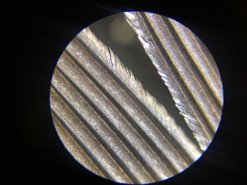 Занятие: Пух и перья под микроскопом. Изображение 4