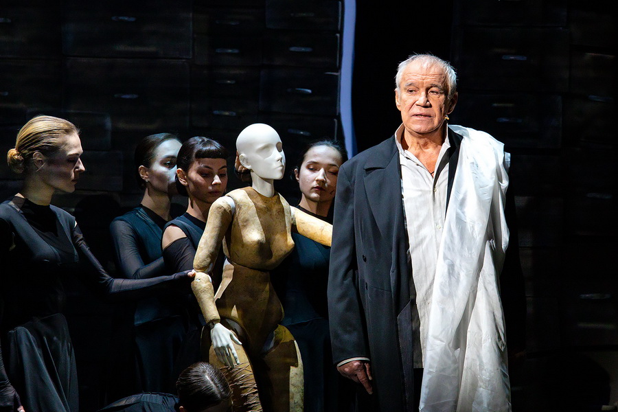 Кроткая (Малый театр). Изображение 6